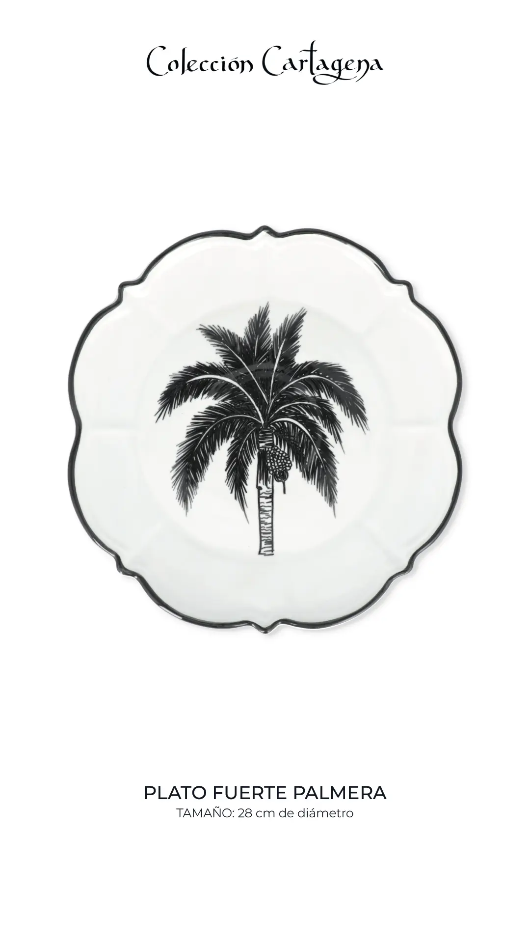 Colección de vajilla CARTAGENA Serie Origen (filo negro)